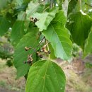 단산농장 이미지