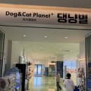 댕냥이살롱 | 제주 댕냥별 제주투어패스 아이와 실내 체험 추천