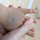 도형목욕탕 | 영유아수업 : 노리짐(트니트니) 겨울학기 한 달 간의 수업 모음(환경공무관, 태권도, 도형놀이, 목욕탕)