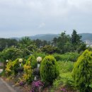 남해에덴캠핑장 이미지