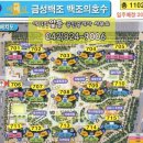 도안 금성백조(701동) 이미지