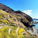 마음껏 남해 이미지