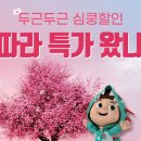 하이센스 이미지