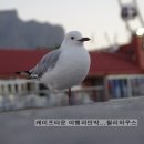 해질무렵민박 이미지