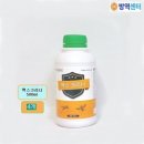 맥스 카카오 검색결과