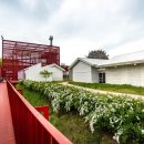 영월Y파크(술샘박물관) 이미지