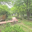 연세라벤더치과교정과치과의원 이미지