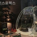 대한스포렉스