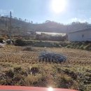 송상농장 이미지