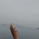화태바다 이미지