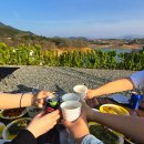 청풍명월 | 제천 레이크힐캠핑장 힐사이트 2·3번 후기｜청풍명월 호수뷰 오토캠핑