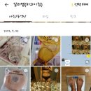 천안바디프로필후기/알라쌤PT/천안직산하와이짐/스튜디오비비드/랩바이프로젝트/온다뷰티메이크업