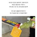 여르미케이크 | 좀 늦어도 좋아요, 마음에 사랑이 있다면 ❤︎.°