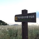 대명농장2 이미지