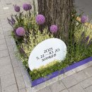 더시락 | 20250521-31 | 시간의 속도에 감탄하는 중