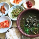 괴강올갱이해장국 | [충청북도 괴산군] 괴강올갱이해장국
