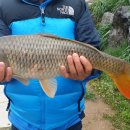 광탄낚시터 이미지