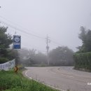 1229 | 오지산행후기(1229차) 귀해진 다래사냥 2024.08.25(일)