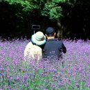 용대관광지2 이미지