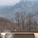 파라스파라 서울 이미지