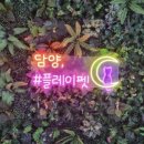 플레이펫 네이버블로그
