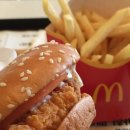 지에스씨푸드의정부지방 | 맥도날드 다이어트 버거 상하이버거 칼로리 단백질 내돈내산 후기