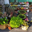 옛고을토속음식점 이미지