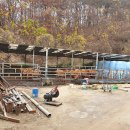 이창재 농장 이미지