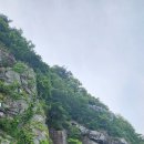미륵산농장 Daum카페