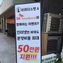 펫브라더스 이미지