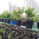 물레방아농장 이미지