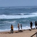 바다정원 이미지