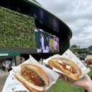 윔블던 | [영국/신혼여행] 2024 윔블던 직관 후기 - 센터코트 그리고 야닉 시너 🎾