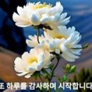 🌺부부에 대한 명언🌺 이미지