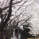 창원기계공업고등학교 이미지