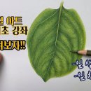 쉽게 그리는 색연필 보테니컬아트 이미지