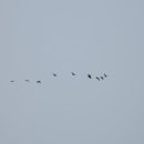 새바지길 이미지