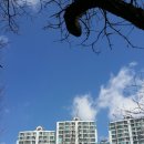 김인수공인중개사사무소 이미지