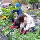 인덕원초등학교 이미지