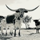 인천한의원 이미지