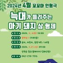 꼬꼬마 돼지 이미지