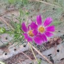 장동목장 이미지