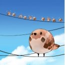 츄츄(chu chu) 이미지