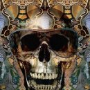 렌즈앤글라시즈(LENS&GLASSES) 이미지