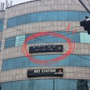 대백애견 이미지