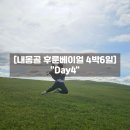 초원기사식당 | 내몽골 패키지 후룬베이얼 4박6일 4일차, 게르 승마 양고기 초원썰매 인생샷 건진 날!