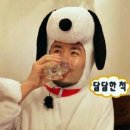 앤파운드 이미지