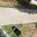 아반테이블 이미지