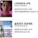 (주)레인보우프로젝트(남산점) | CGV 영화 플로리다 프로젝트 재개봉, 나미비아의 사막 후기