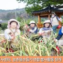달성군 자원봉사센터, 농촌일손돕기 연합 봉사활동 전개 이미지